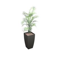 Plante verte dans un pot rectangulaire finition noir Plante verte dans un pot rectangulaire finition noir
