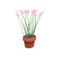 Plante avec fleurs roses dans un pot Plante avec fleurs roses dans un pot
