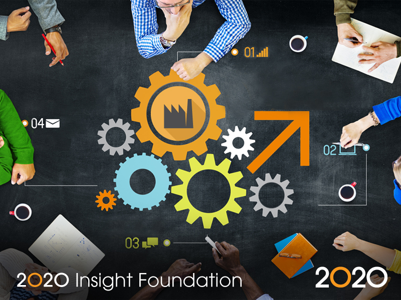 2020 Insight Foundation Webinar