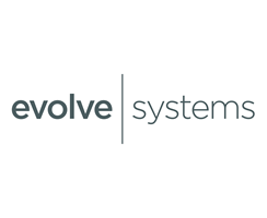 Evolve Furniture Group and 2020