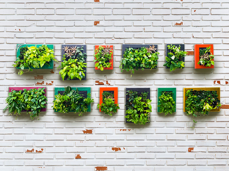 Living walls in kitchen wall decor