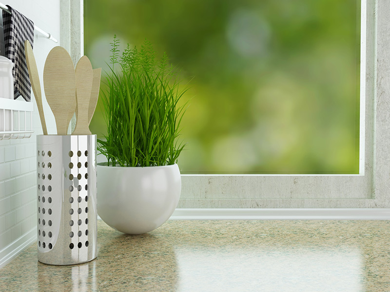 Une plante comme accessoire de cuisine et de salle de bains