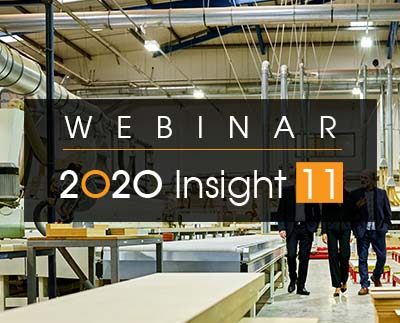 Webinar 2020 Insight v11