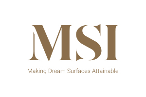 MSI Logo