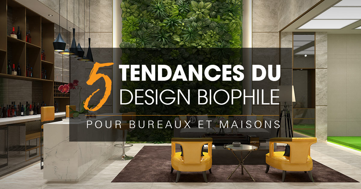 Cinq tendances de conception biophile : faites entrer la nature dans les bureaux et les maisons