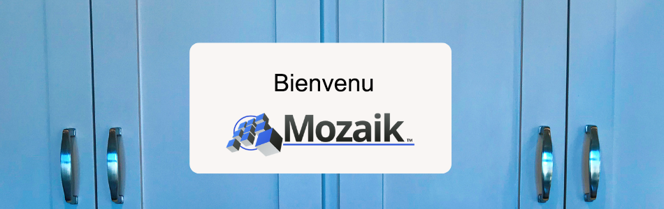 Cyncly annonce l'acquisition de Mozaik