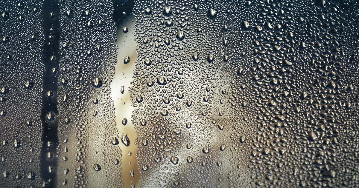 Steam showers